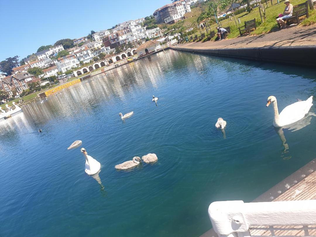 Sefton Lodge Seafront ,Panoramic Sea View Ensuite Balcony Rooms Available, Guest Garden Paignton Exterior foto