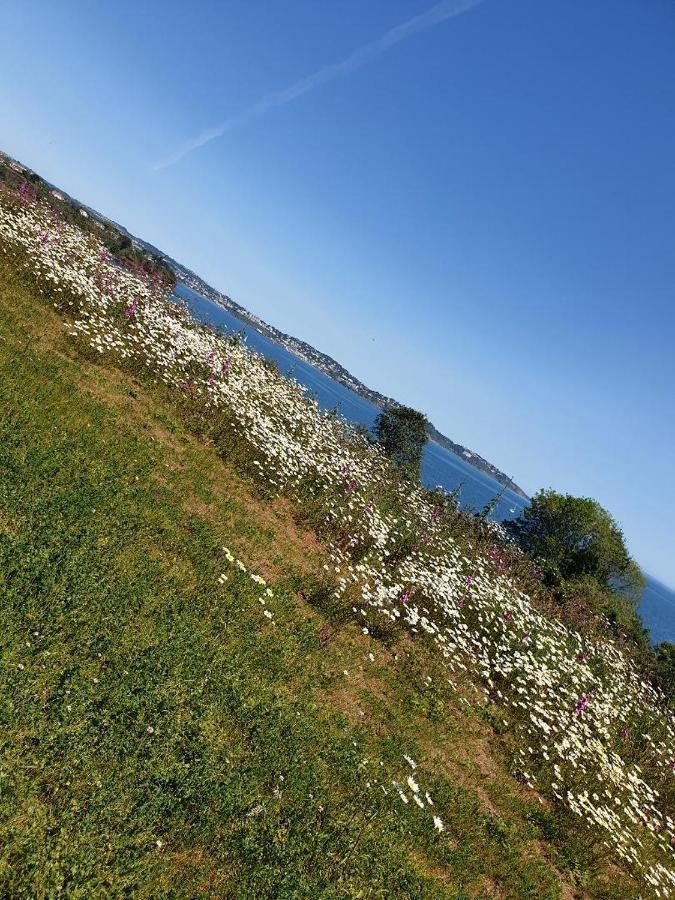 Sefton Lodge Seafront ,Panoramic Sea View Ensuite Balcony Rooms Available, Guest Garden Paignton Exterior foto